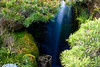 Natural Scenery : 